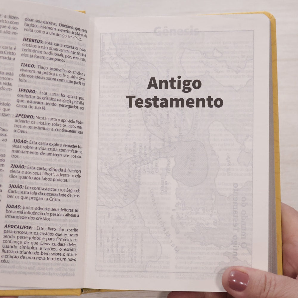 Bíblia Sagrada | NTLH | Letra Grande | Capa Filipenses 4:13