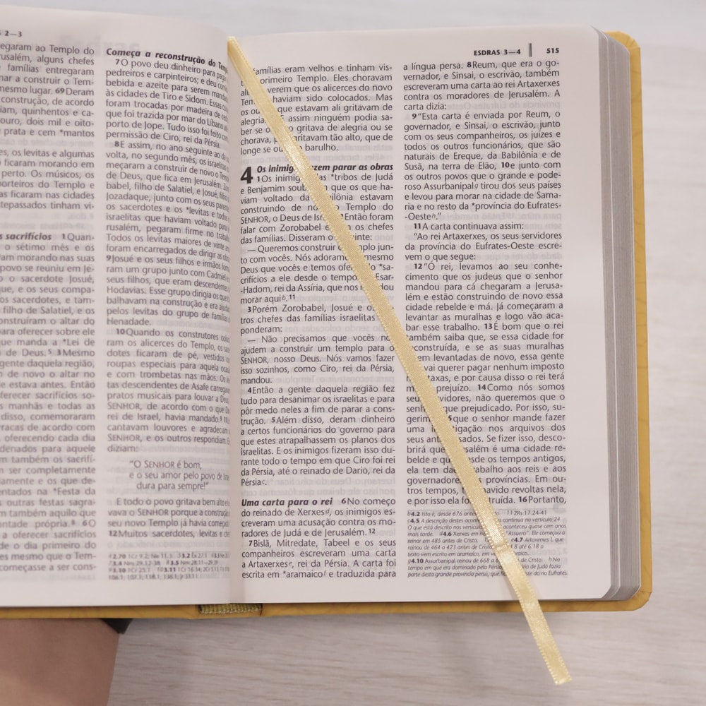 Bíblia Sagrada | NTLH | Letra Grande | Capa Filipenses 4:13