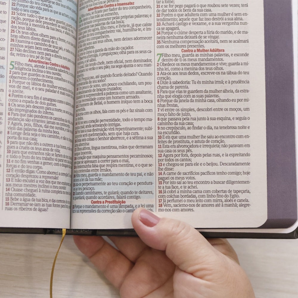 Bíblia Sagrada Bom Pastor | ARC | Letra Maior | Harpa e Corinhos | Capa Dura