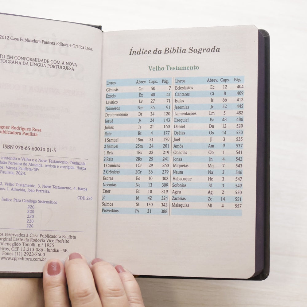 Bíblia Sagrada Bom Pastor | ARC | Letra Maior | Harpa e Corinhos | Capa Dura
