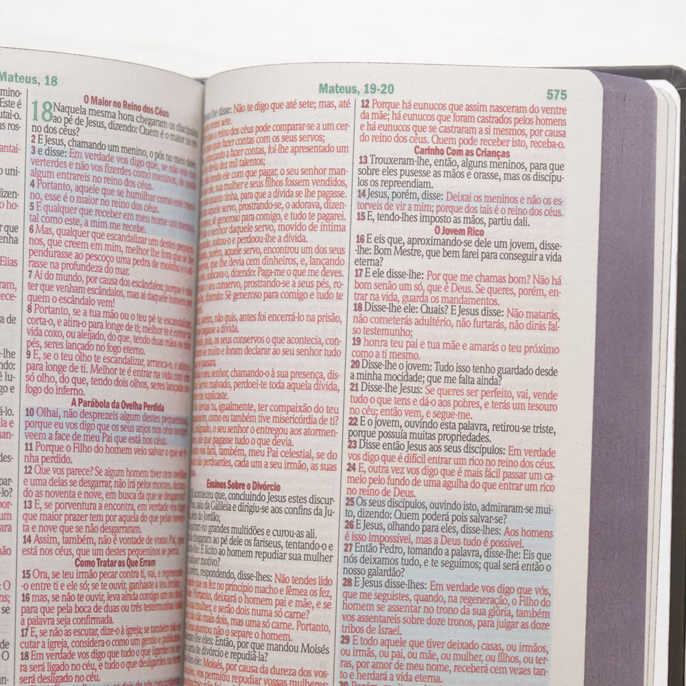 Bíblia Sagrada Bom Pastor | ARC | Letra Maior | Harpa e Corinhos | Capa Dura