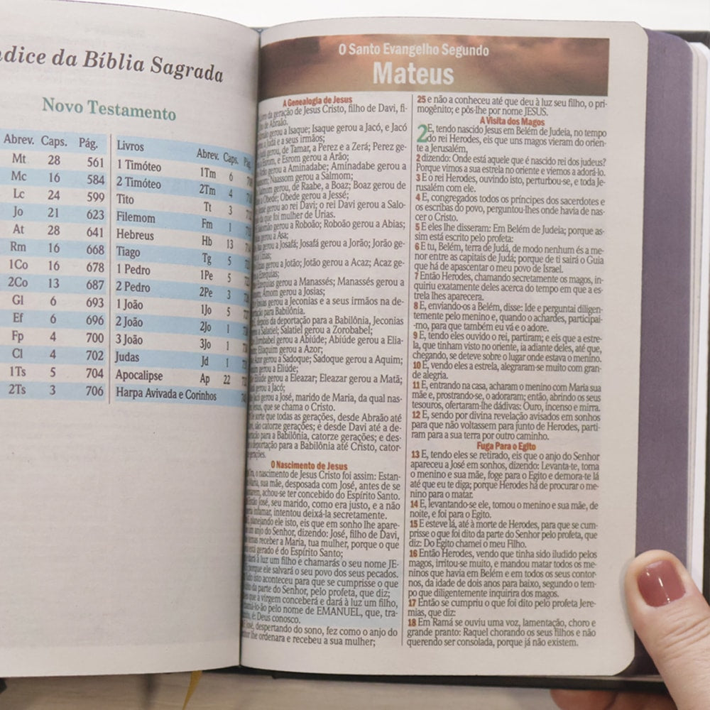 Bíblia Sagrada Bom Pastor | ARC | Letra Maior | Harpa e Corinhos | Capa Dura