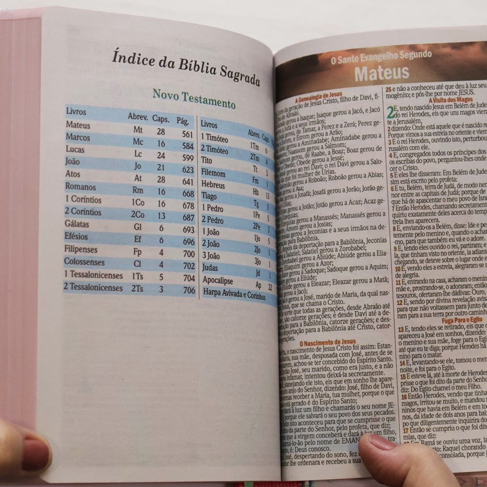 Bíblia Sagrada Mulher Que Teme | ARC | Letra Maior | Harpa e Corinhos | Capa Dura