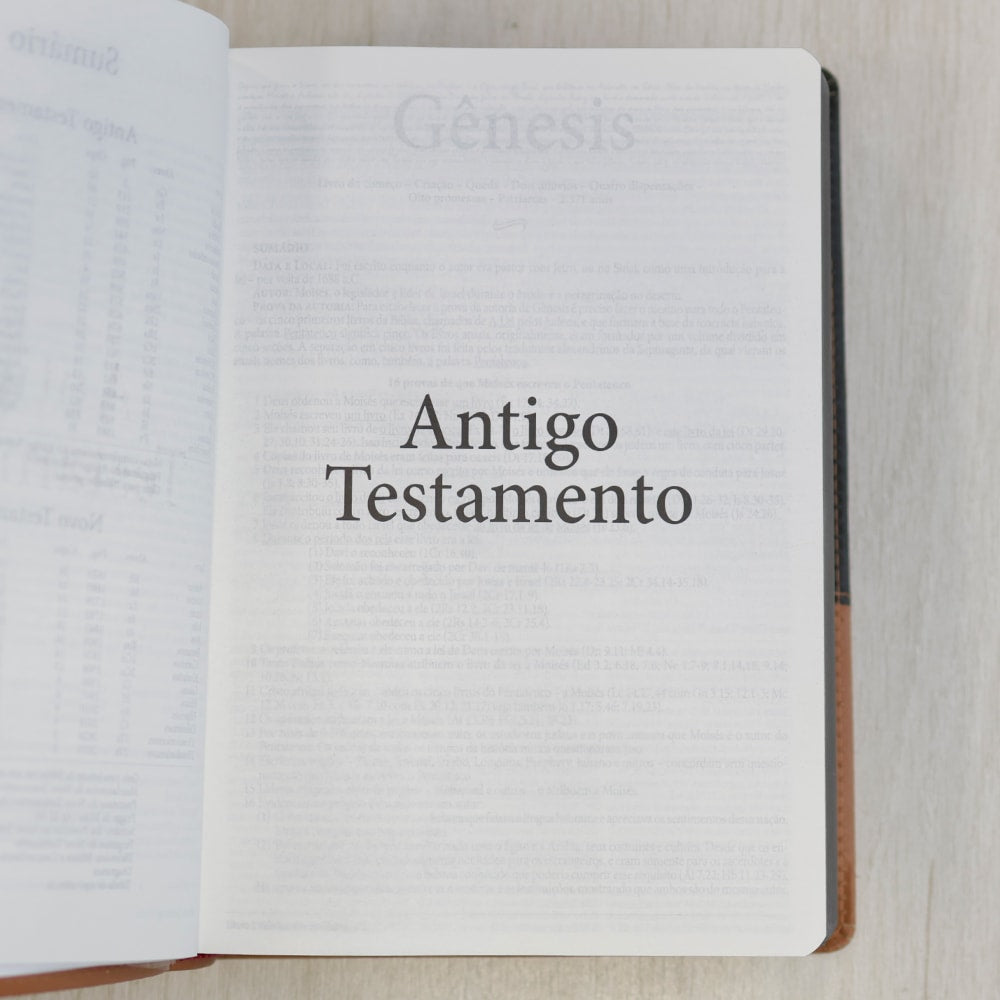 Bíblia de Estudo Dake | Letra Grande | Capa Luxo Preta e Caramelo