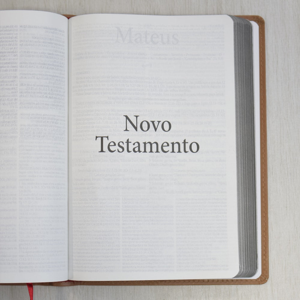 Bíblia de Estudo Dake | Letra Grande | Capa Luxo Caramelo