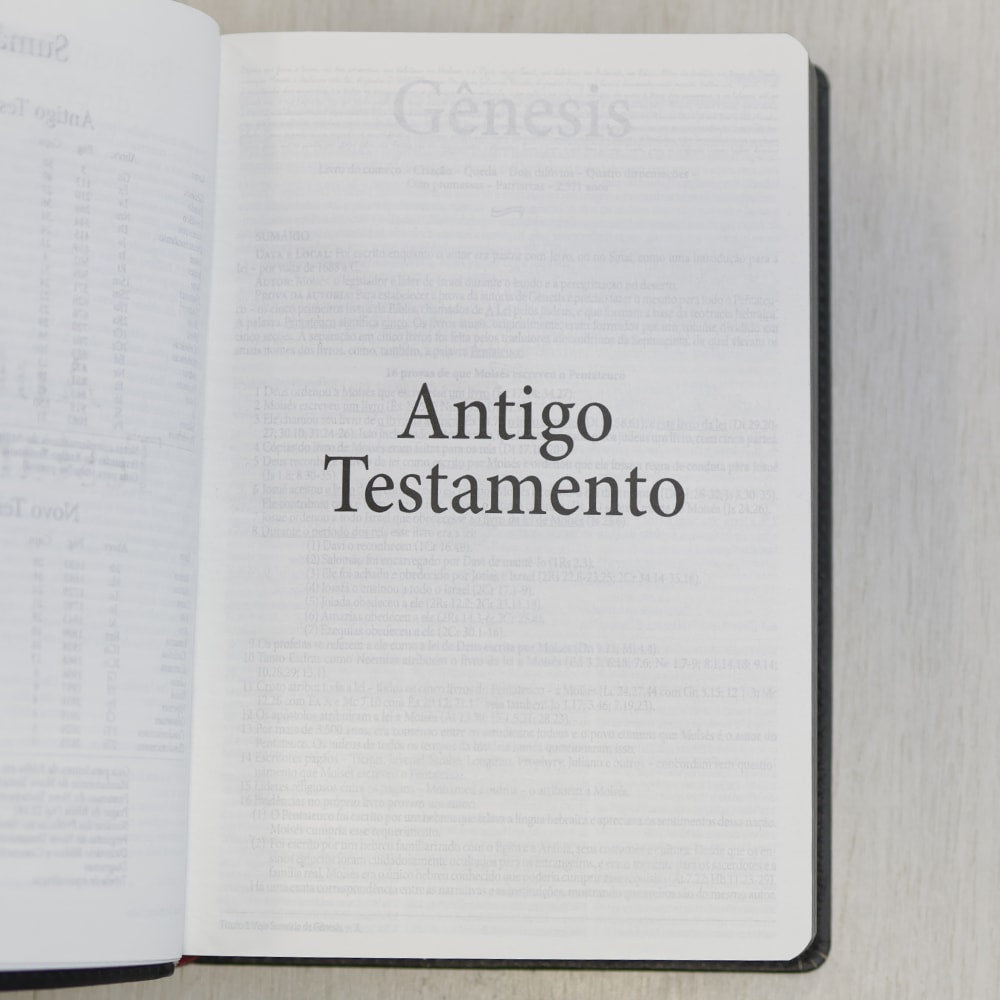 Bíblia de Estudo Dake | Letra Grande | Capa Luxo Preta