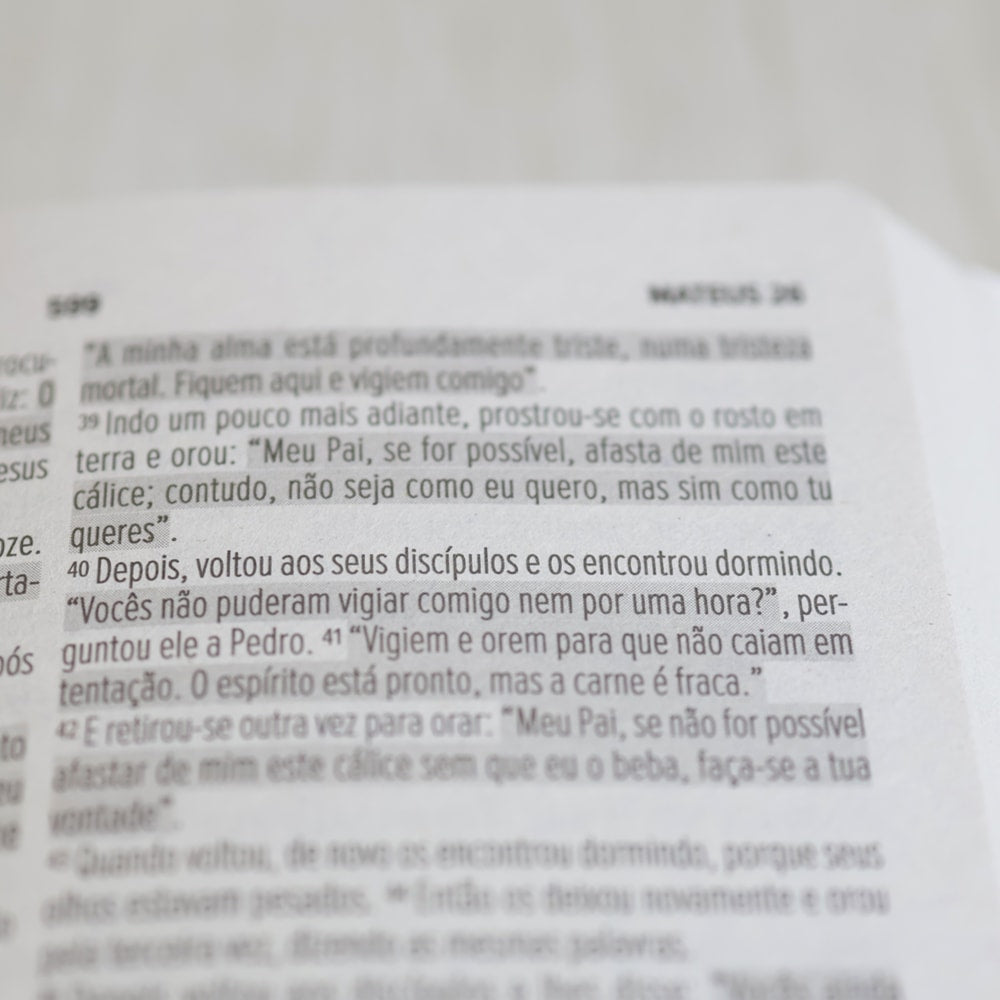 Bíblia Sagrada Leão Vencedor | NVI | Letra Normal | Capa Brochura