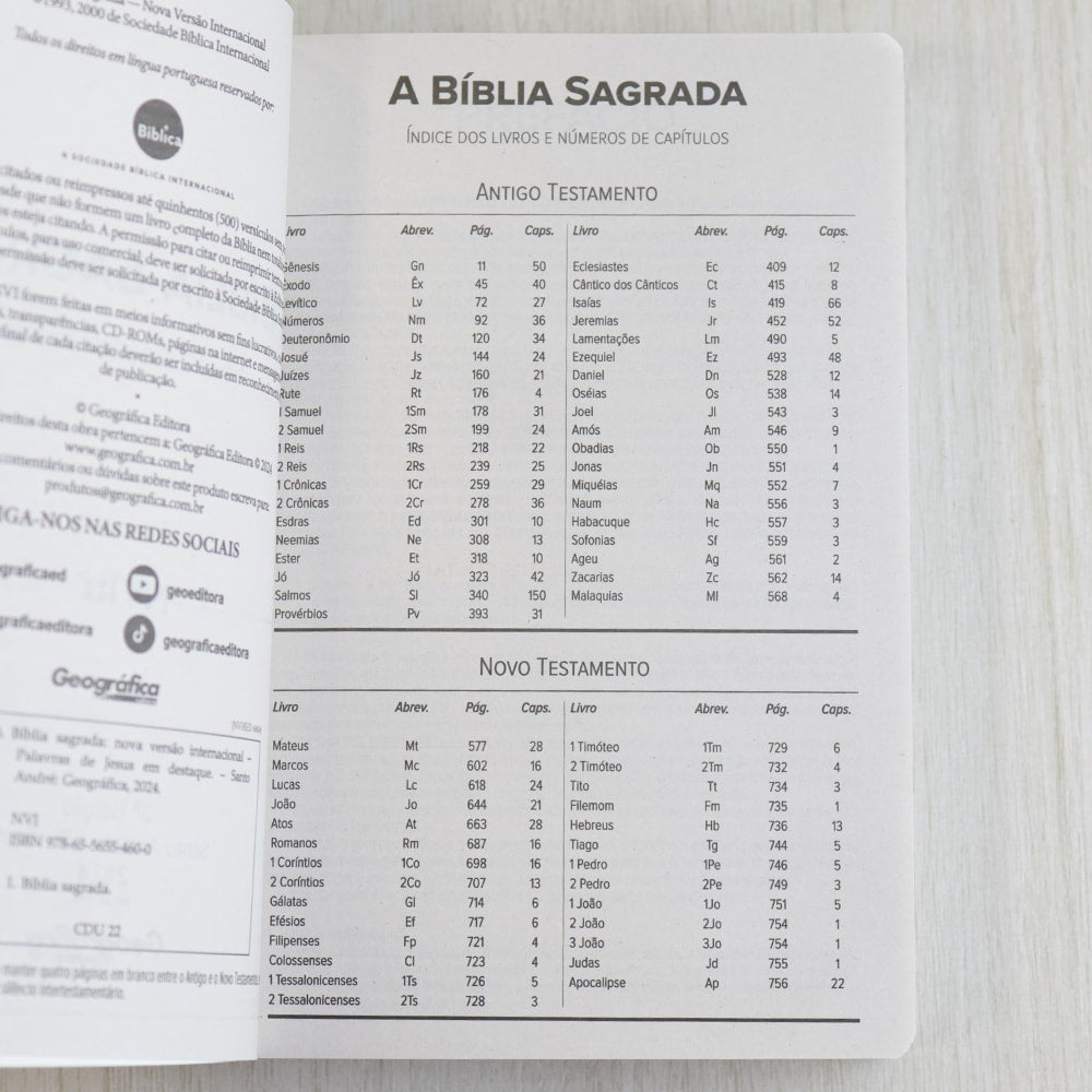 Bíblia Sagrada Leão Vencedor | NVI | Letra Normal | Capa Brochura