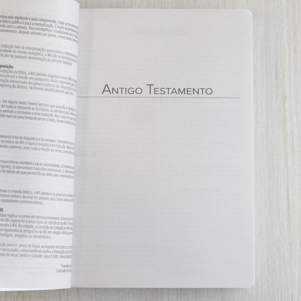Bíblia Sagrada Leão Vencedor | NVI | Letra Normal | Capa Brochura