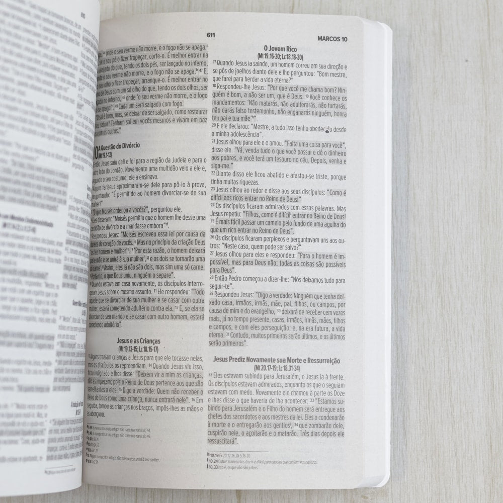 Bíblia Sagrada Leão Vencedor | NVI | Letra Normal | Capa Brochura