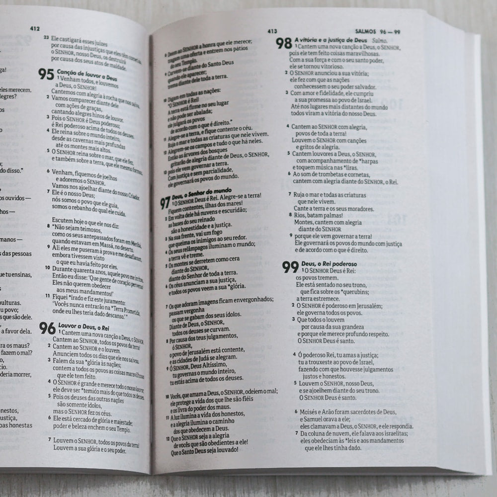 Bíblia Sagrada | NTLH | Vão Pelo Mundo | Brochura