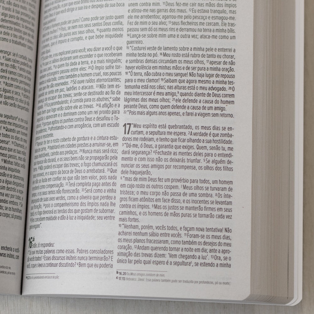 Bíblia no Banquinho | NVI | Brochura Evangelize