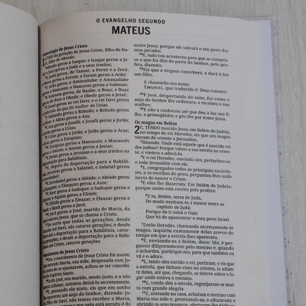 Bíblia Sagrada | ACF | Letra Grande | Capa Dura Flor Azul