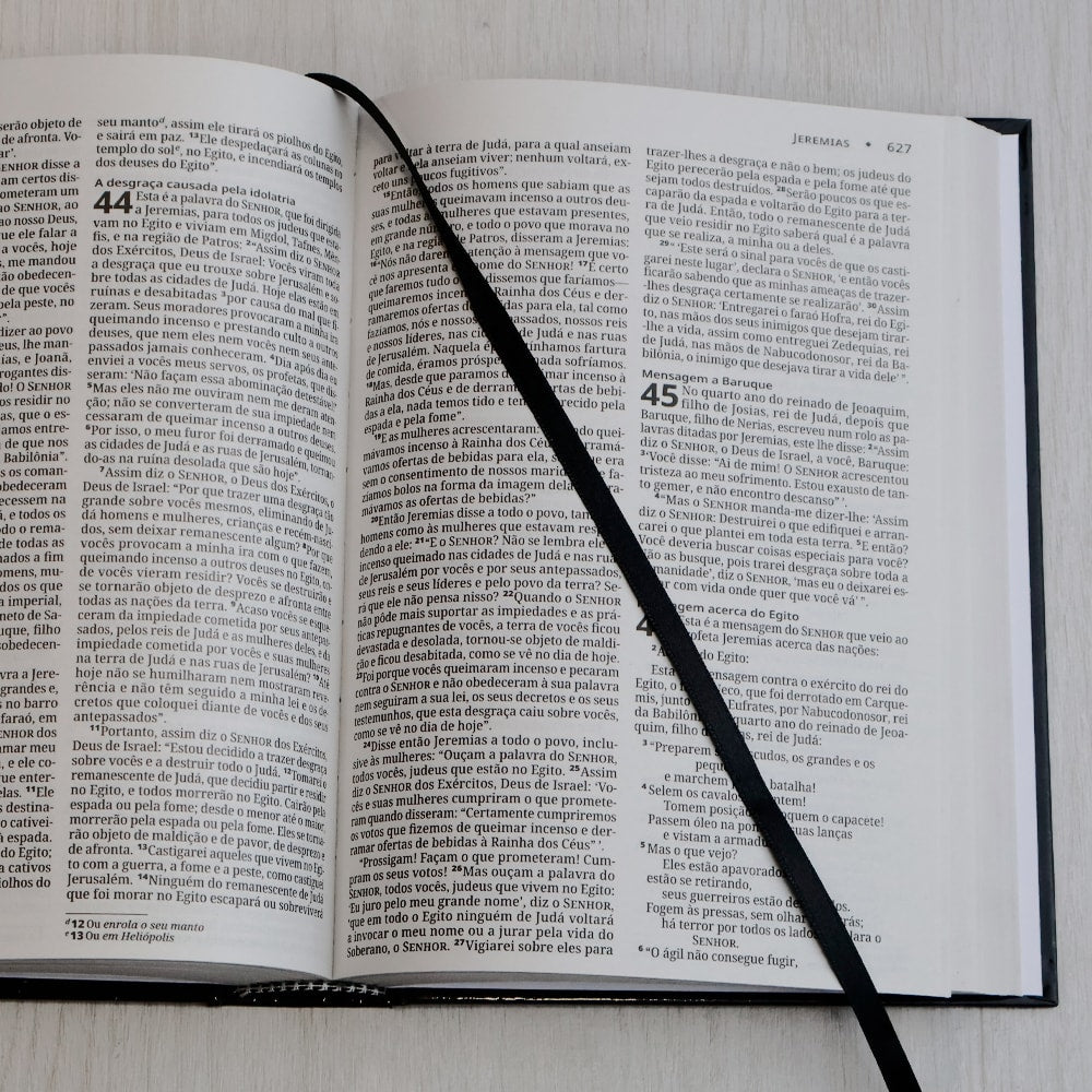 Bíblia Sagrada | NVI | Letra Grande | Capa Dura Leão Grafite