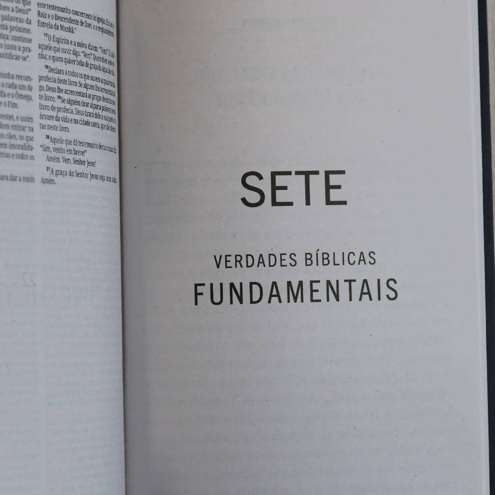 Bíblia Sagrada Leão Coroado | NVI | Capa Brochura