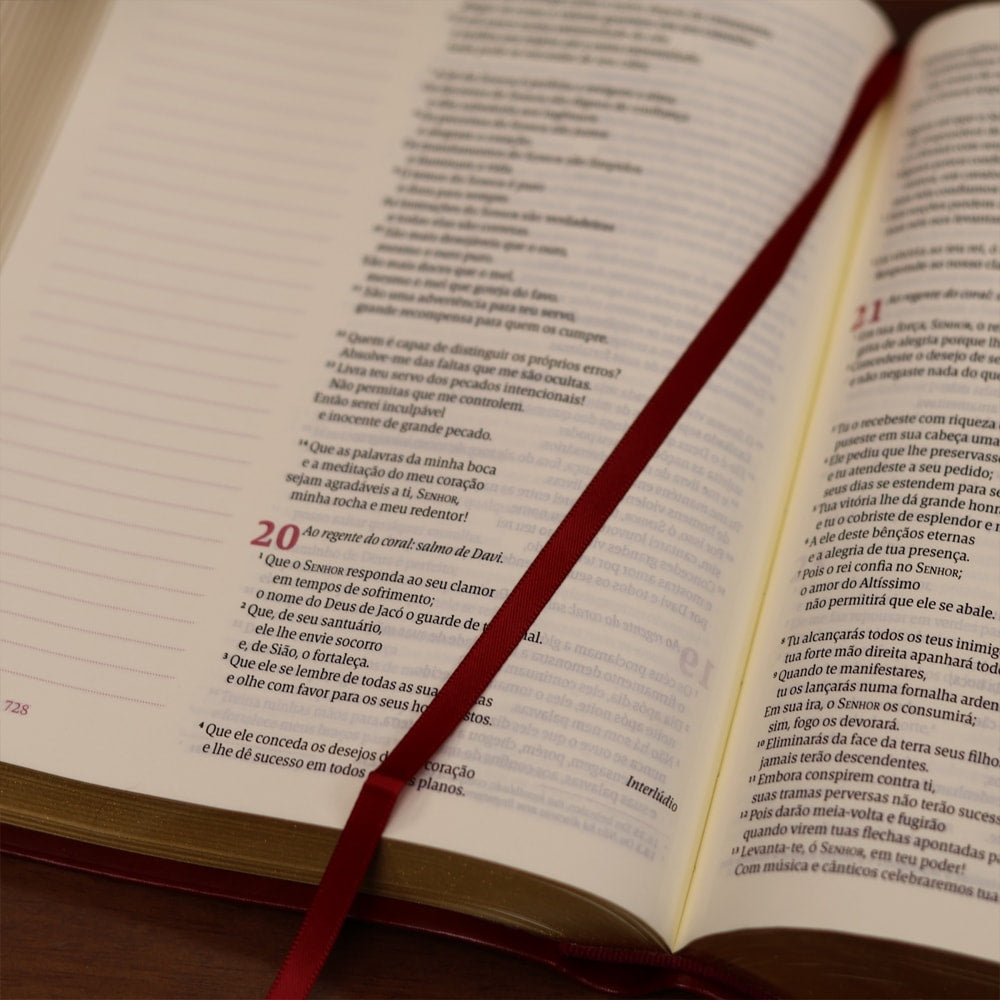 Biblia Mulheres NVT Viviane Martinello Videira Vinho