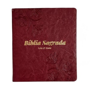 Biblia Sagrada Jardim da Graca Leia e Anote NVI Capa Luxo Vinho