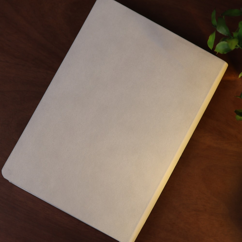 Bíblia De Estudo Joyce Meyer | NVI | Letra Grande | Capa Cinza