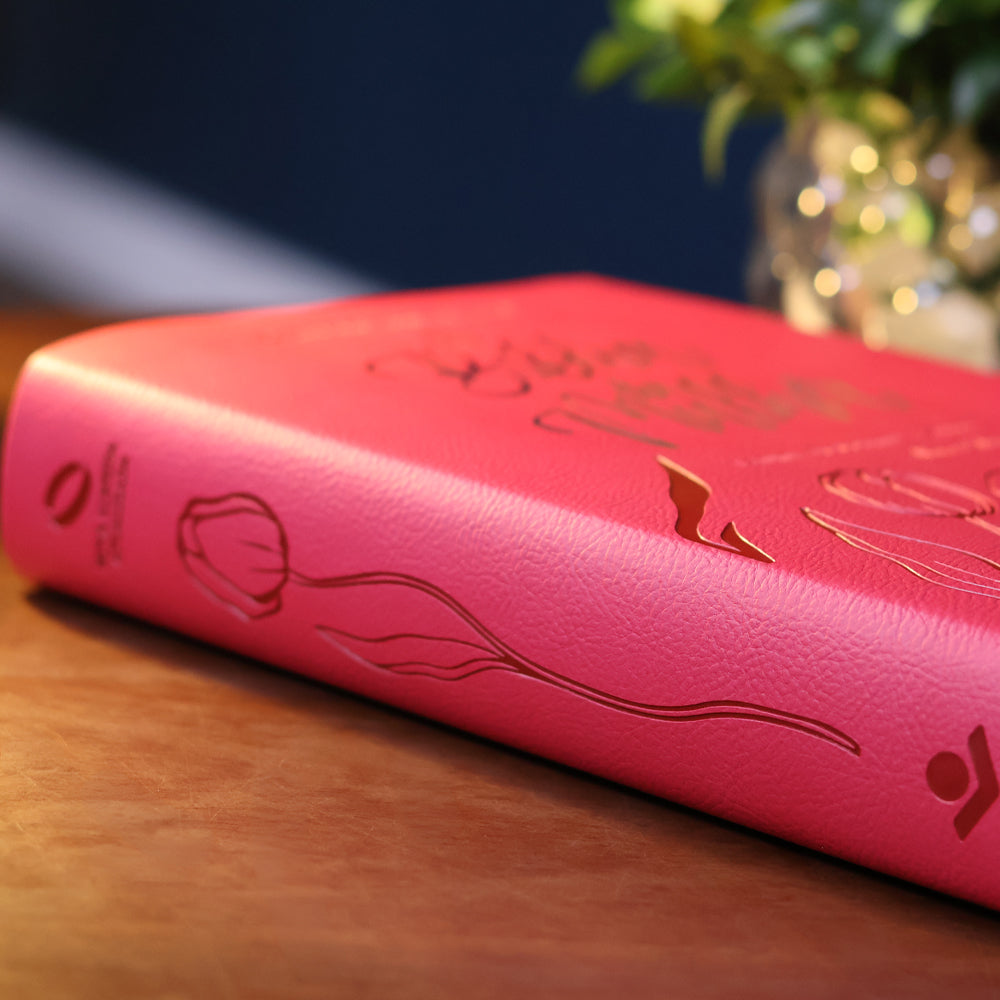A Bíblia da Mulher | Letra Grande | NAA | Capa Luxo Aston Pink | Caixa Janela