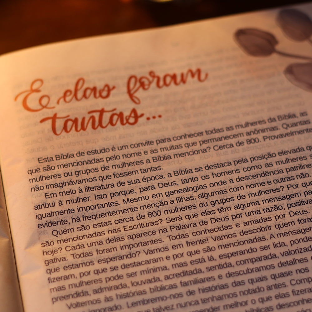 A Bíblia da Mulher | Letra Grande | NAA | Capa Luxo Aston Pink | Caixa Janela