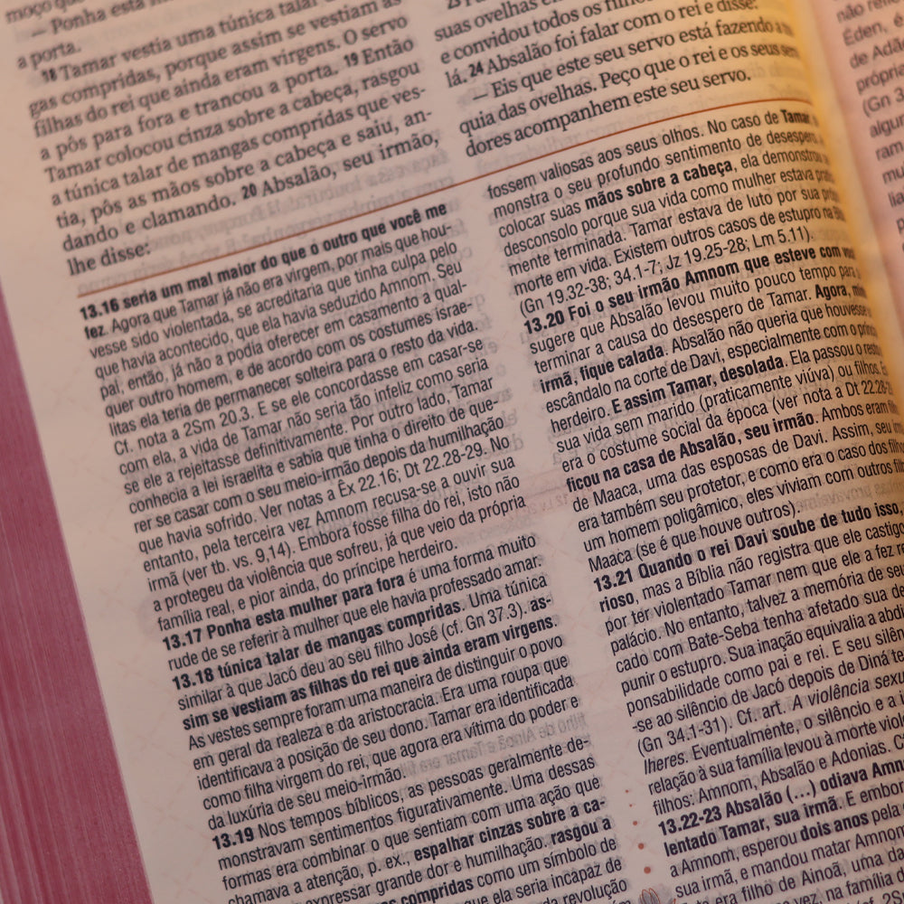 A Bíblia da Mulher | Letra Grande | NAA | Capa Luxo Aston Pink | Caixa Janela