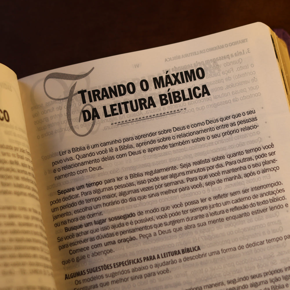 Bíblia Sagrada | ARA | Letra Grande | Legno Duo Roxo e Lilás