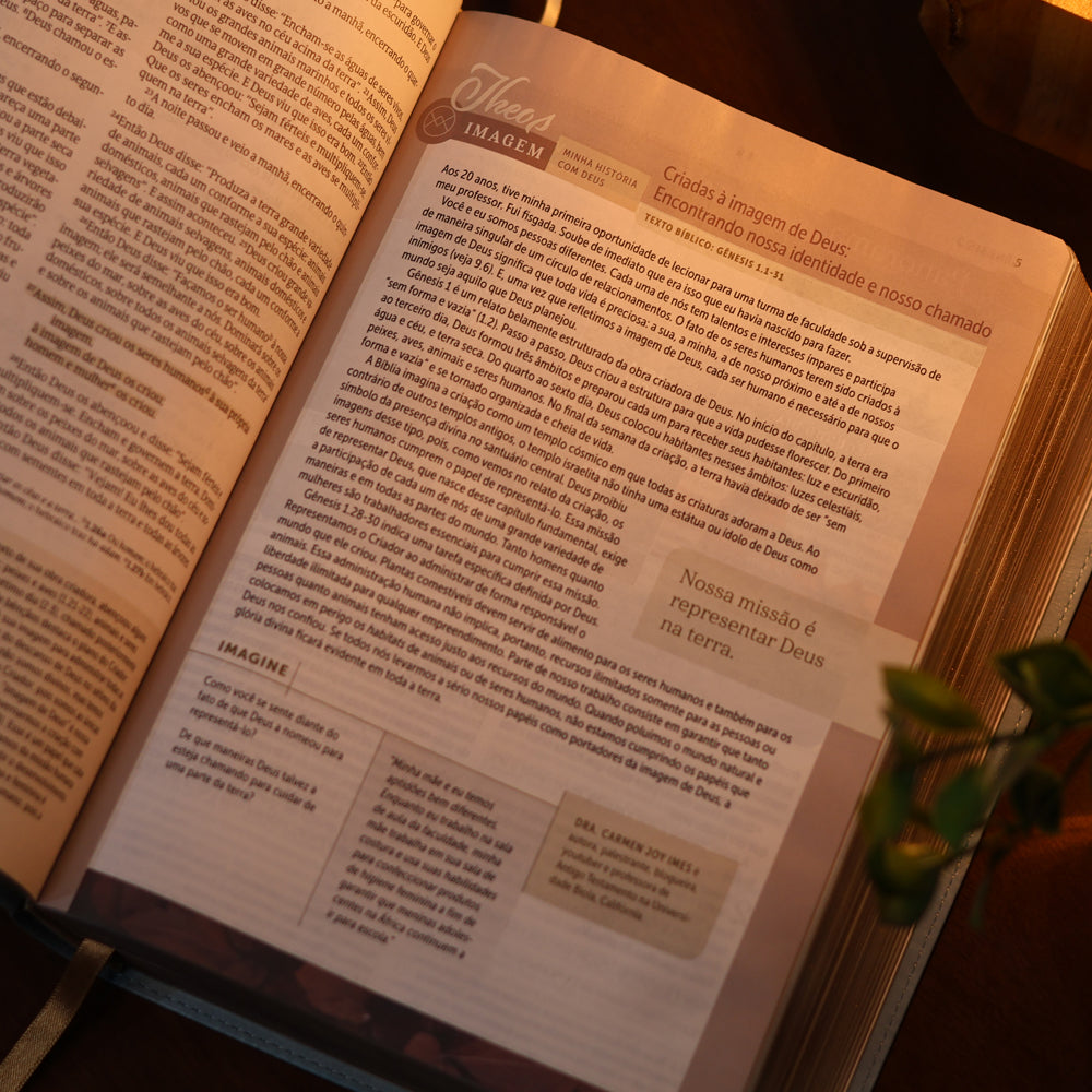 Biblia de Estudo Para Toda Mulher  NVT  Capa Azul