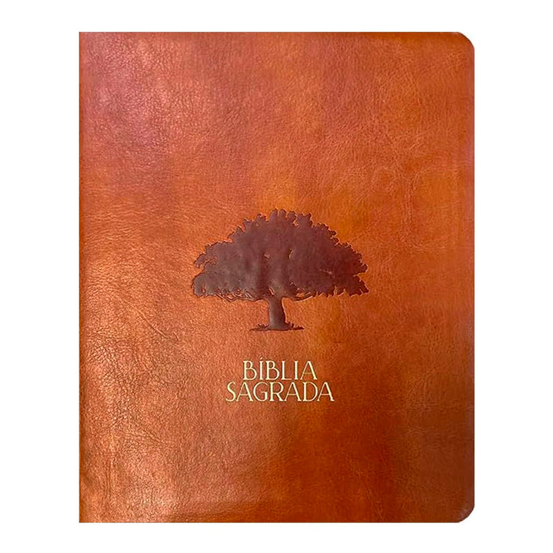 Biblia Mulheres  NVT  Viviane Martinello  Figueira