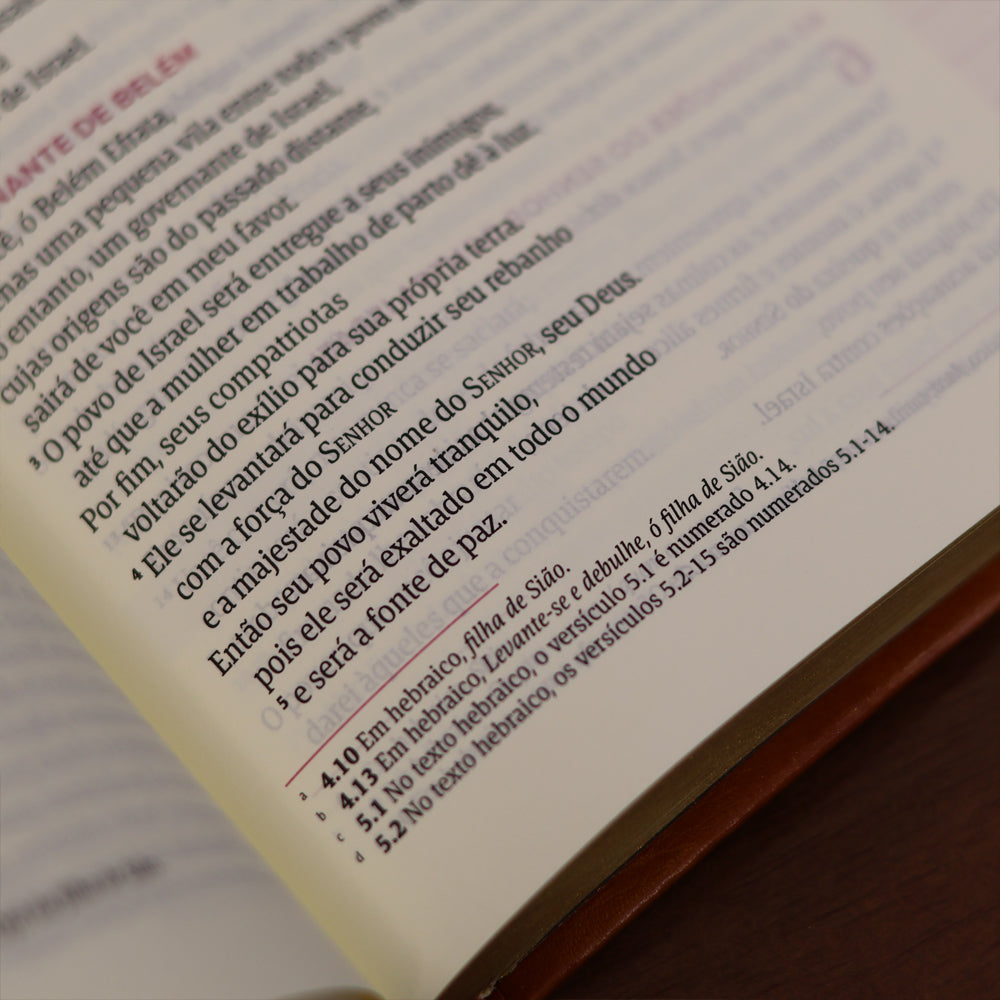 Biblia Mulheres  NVT  Viviane Martinello  Figueira
