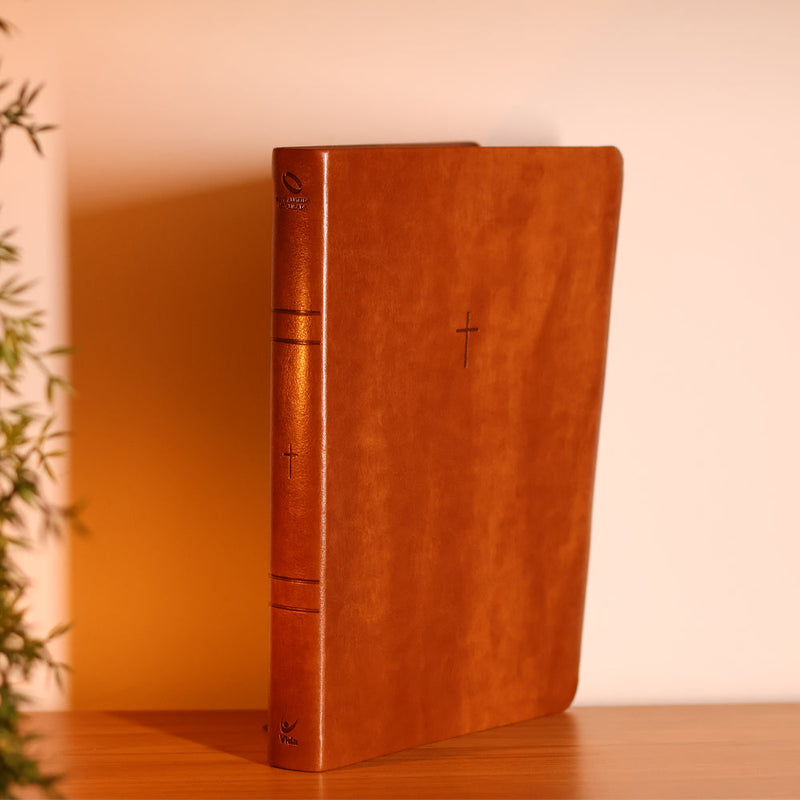 Biblia Sagrada  NAA  Letra Grande  Marrom