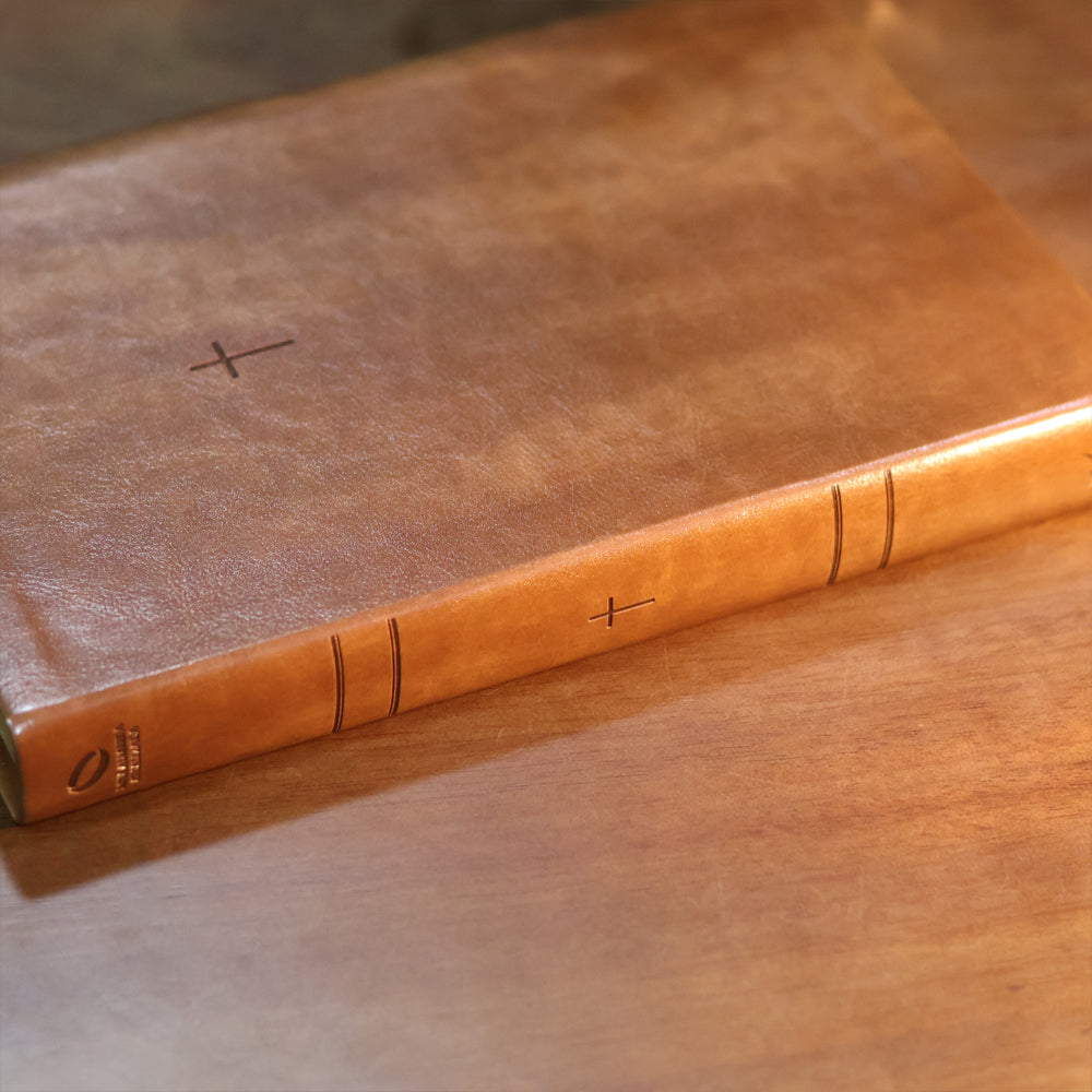 Biblia Sagrada  NAA  Letra Grande  Marrom