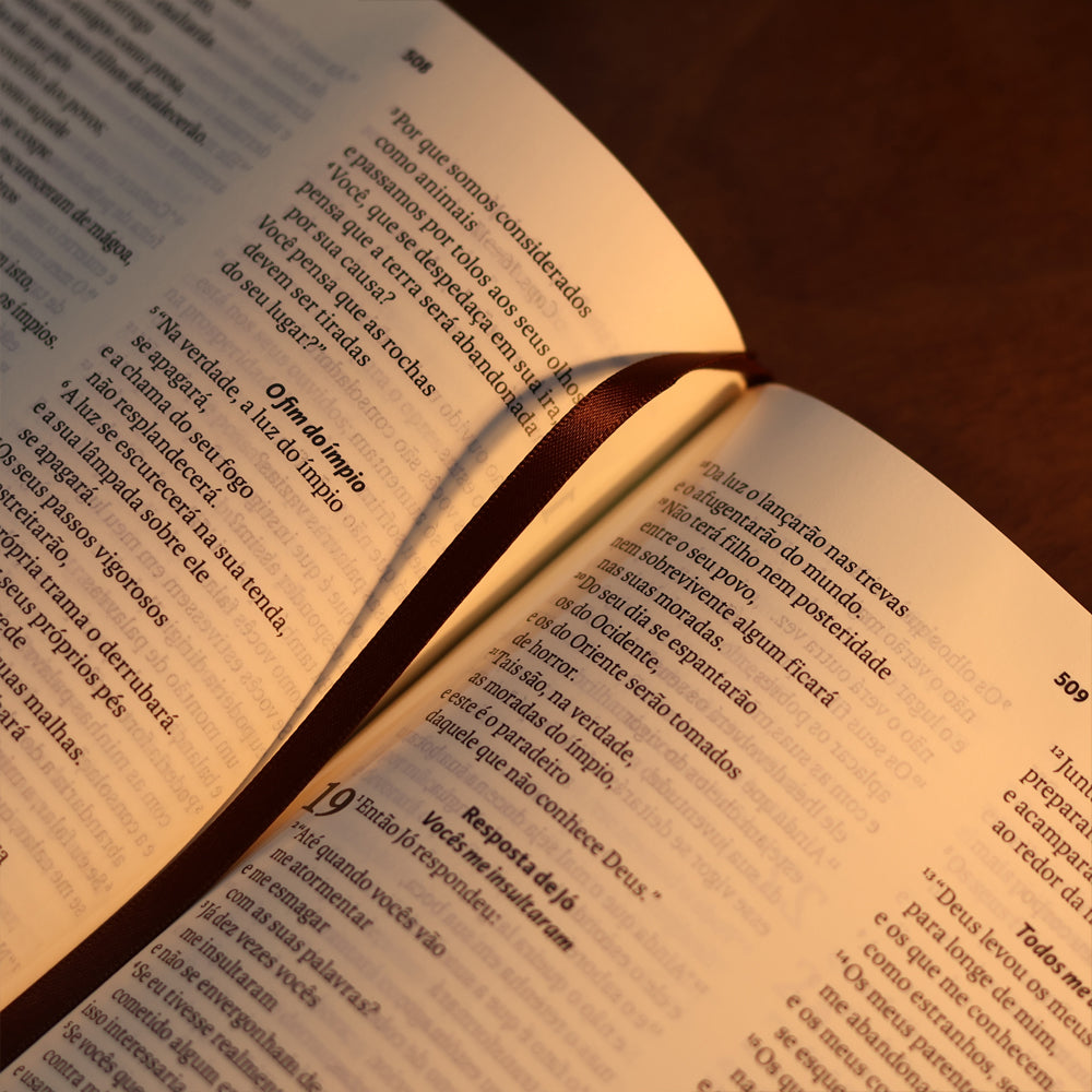 Biblia Sagrada  NAA  Letra Grande  Marrom