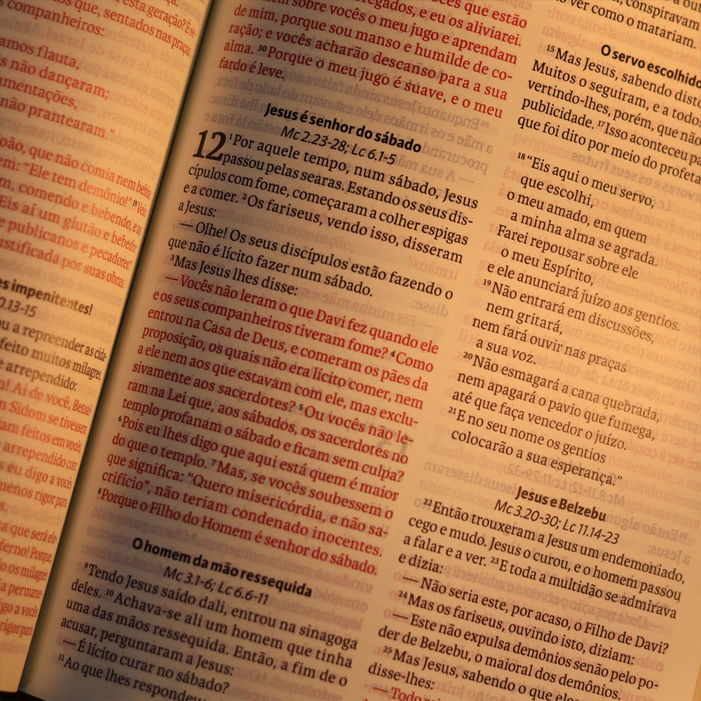 Biblia Sagrada  NAA  Letra Grande  Marrom