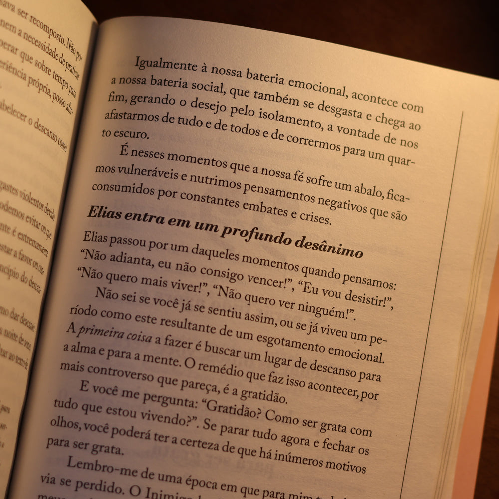 Mulheres Improváveis | Viviane Martinello