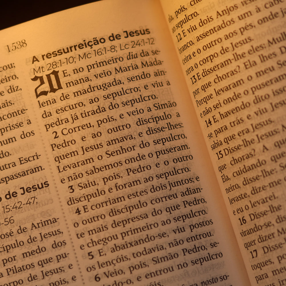 Bíblia Sagrada João Ferreira de Almeida | JFA 1819 | Standard | Letra Grande | Capa Luxo Cinza