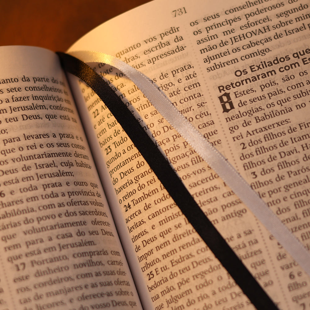 Bíblia Sagrada João Ferreira de Almeida | JFA 1819 | Standard | Letra Grande | Capa Luxo Cinza