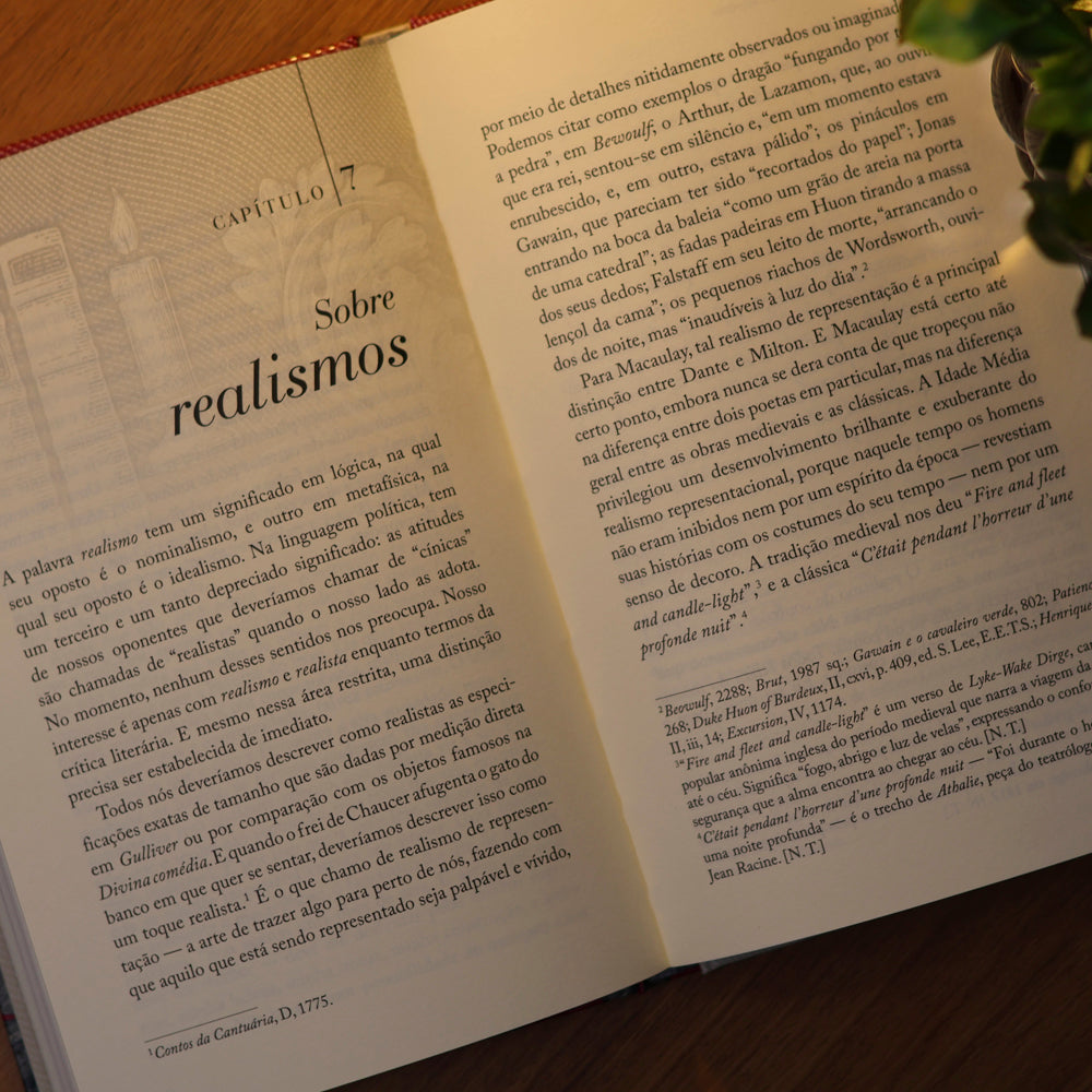 Um Experimento em Crítica Literária | CS Lewis