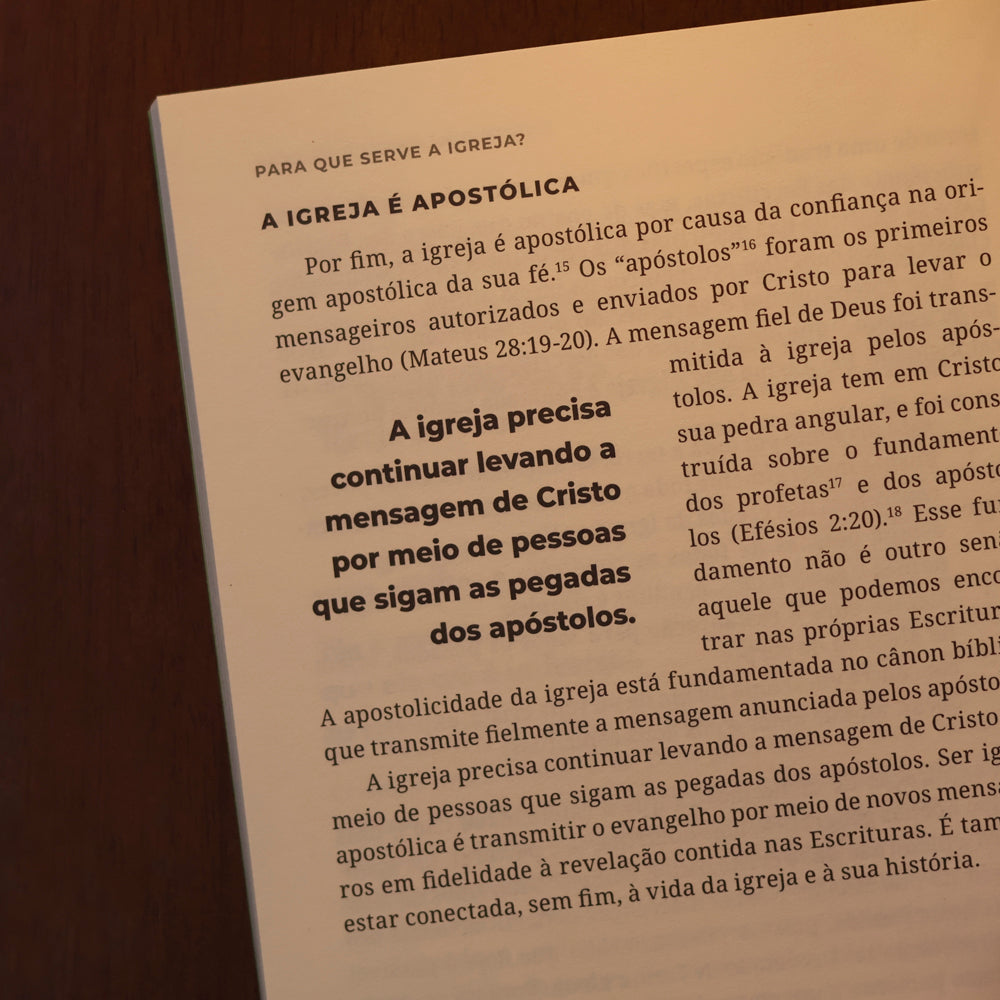 Para Que Serve a Igreja? | Coleção Teologia Para Todos | Alexander Stahlhoefer