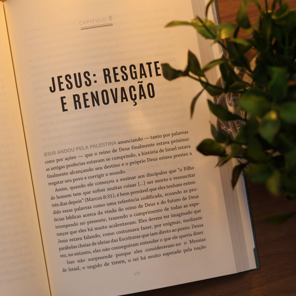Simplesmente Cristão | N. T. Wright