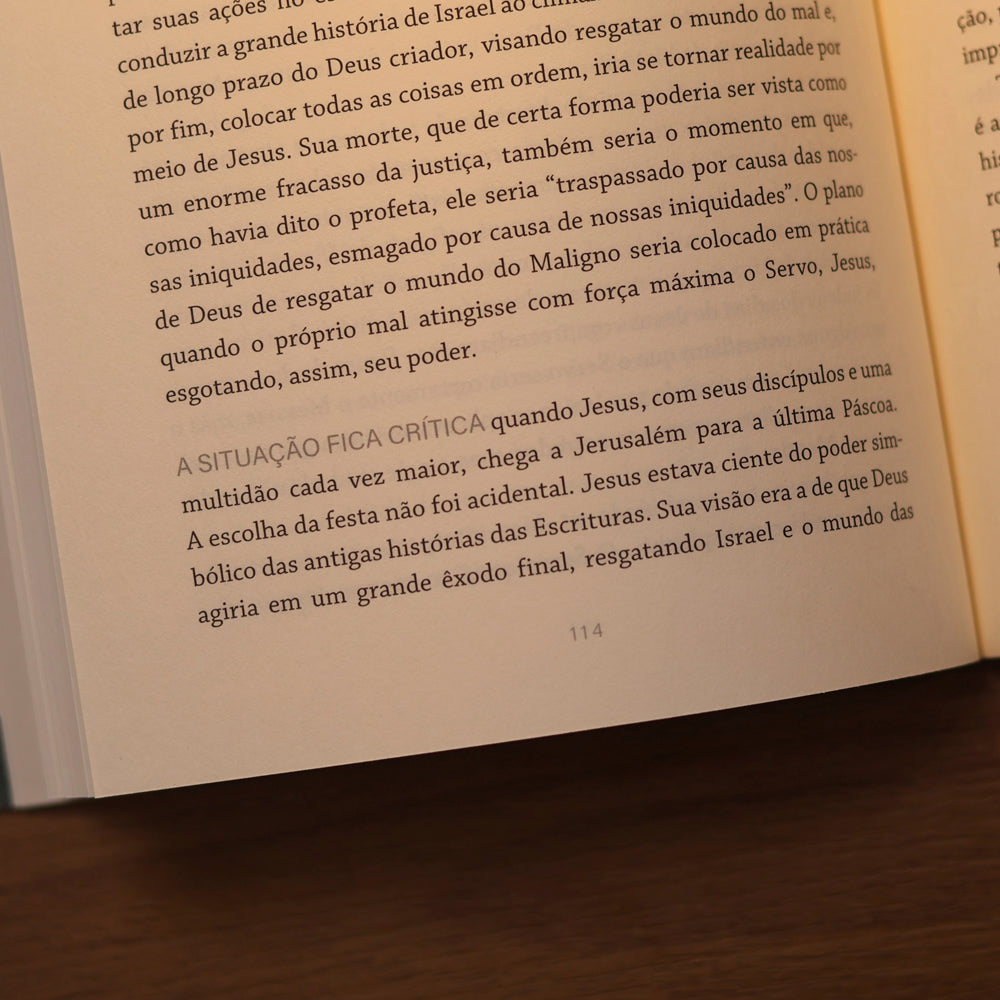 Simplesmente Cristão | N. T. Wright