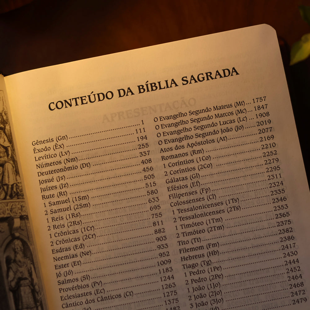 Bíblia de Estudo King James | KJA Letra Grande | Marrom