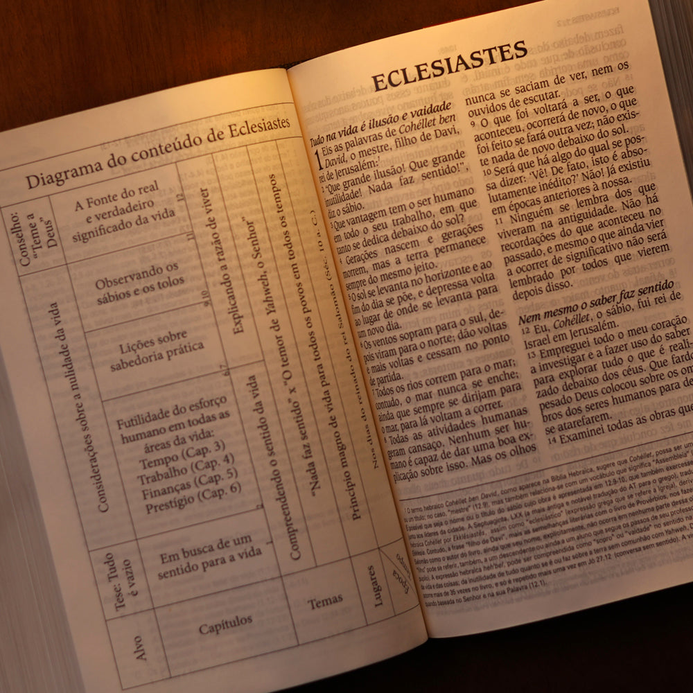 Bíblia de Estudo King James | KJA Letra Grande | Marrom