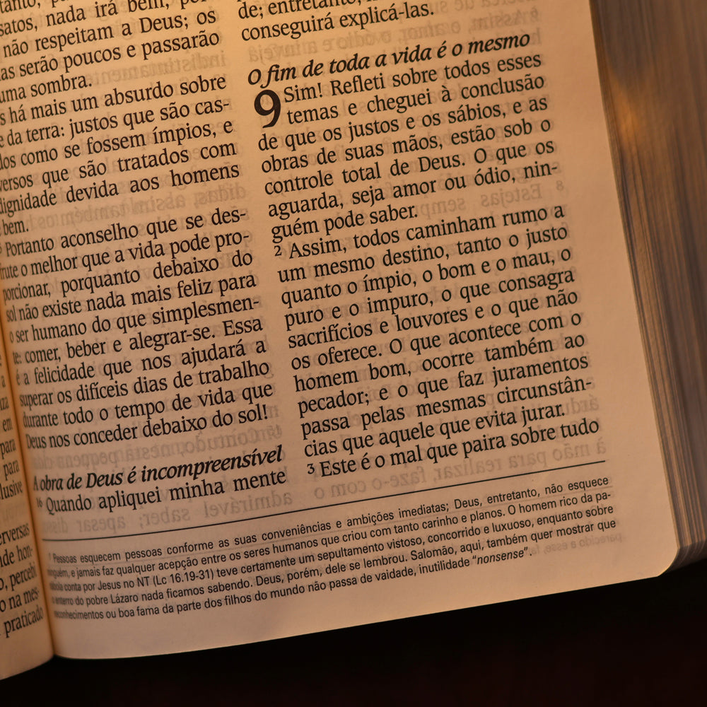 Bíblia de Estudo King James | KJA Letra Grande | Marrom