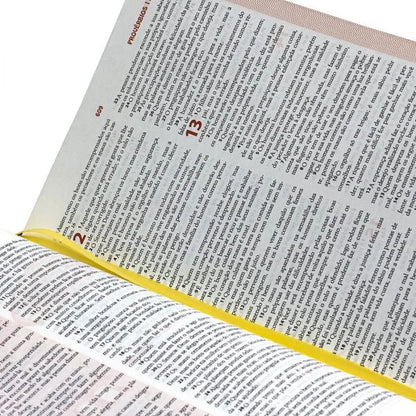 A Bíblia das Descobertas | Letra Normal | NTLH | Meninos