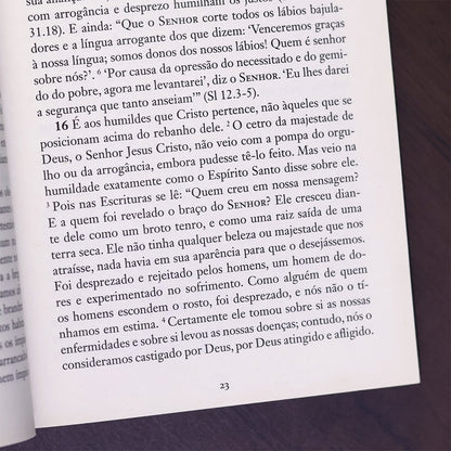 Pais Apostólicos