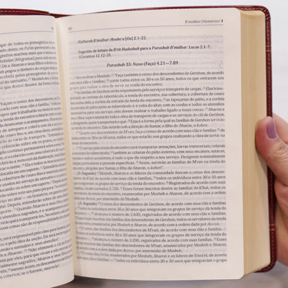 Bíblia Judaica Completa | Letra Normal | Capa Luxo Vinho