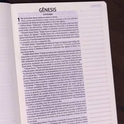 Bíblia Sagrada - Leitura Perfeita | Letra Grande | NVI | Espaço para anotações - Azul
