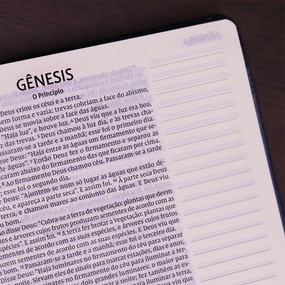 Bíblia Sagrada - Leitura Perfeita | Letra Grande | NVI | Espaço para anotações - Azul