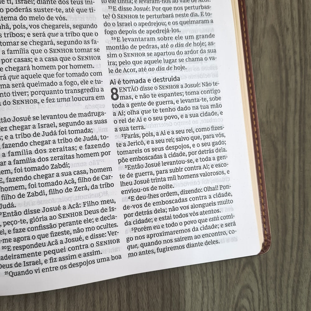 Bíblia Sagrada | Leitura Perfeita | ACF | Marrom Flexível