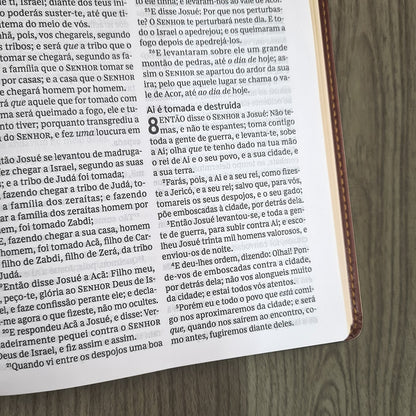 Bíblia Sagrada | Leitura Perfeita | ACF | Marrom Flexível